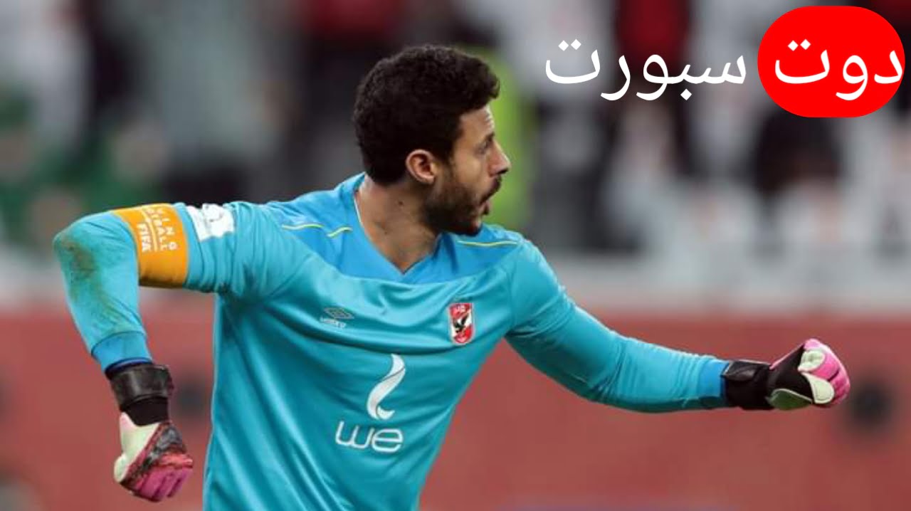 محمد الشناوي